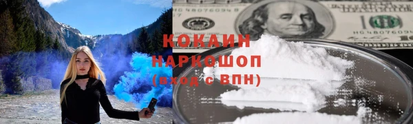 гидра Алексин