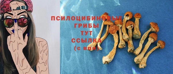 гидра Алексин