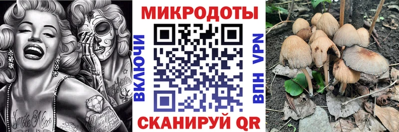 Псилоцибиновые грибы Psilocybine cubensis  Новочебоксарск 