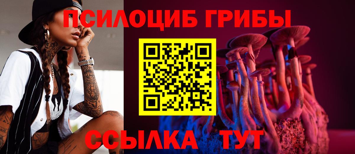 Галлюциногенные грибы Psilocybine cubensis Новочебоксарск